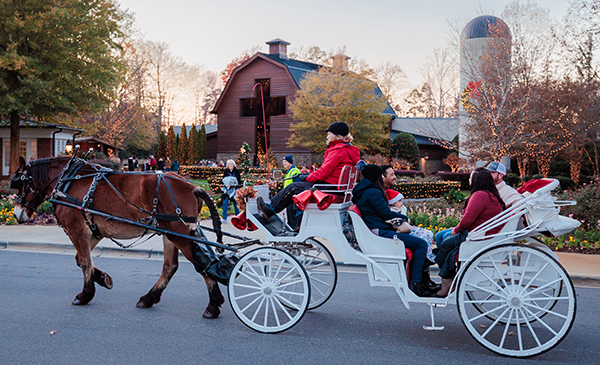 Christmas at the Library Carriage Ride