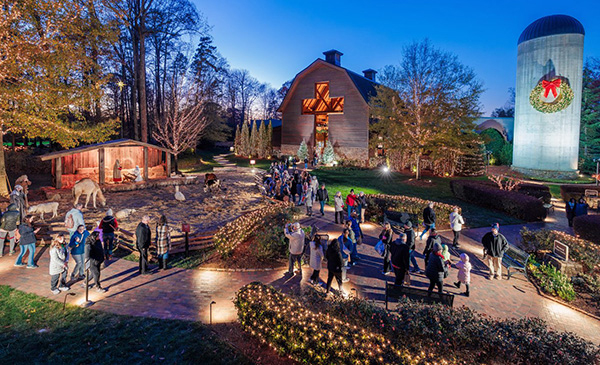 Christmas at the Library