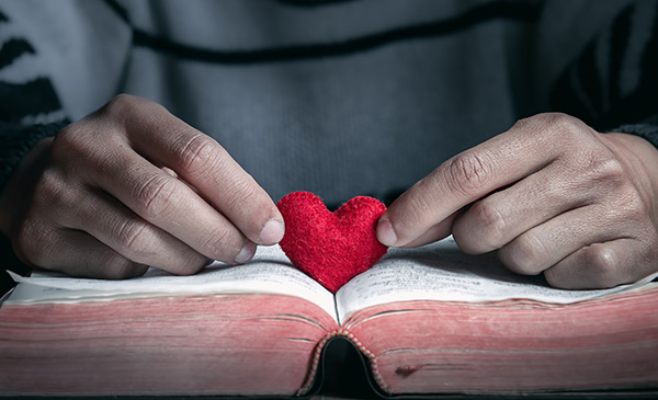 Heart and the Bible